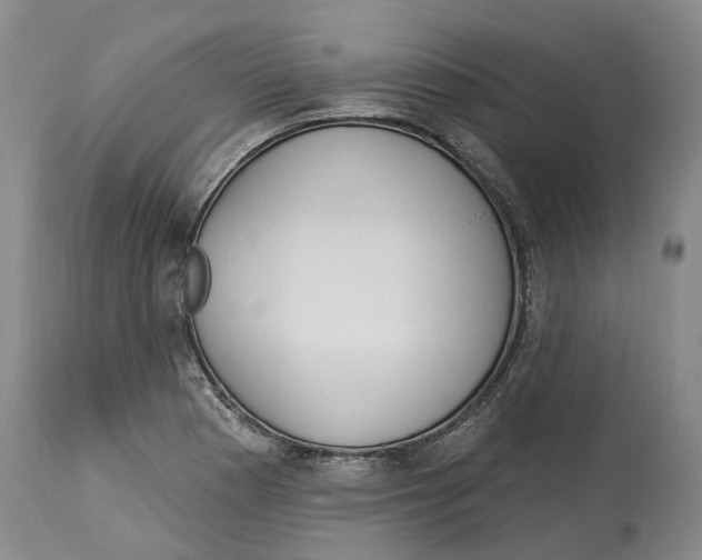 X0000114181177200911051544