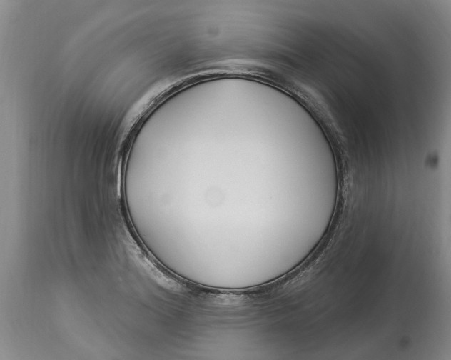 X0000114181180200911051544