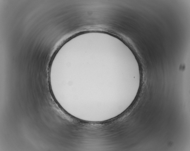 X0000114181184200911051544