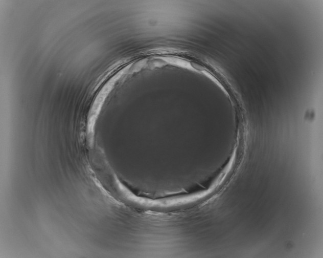 X0000114181185200911051544