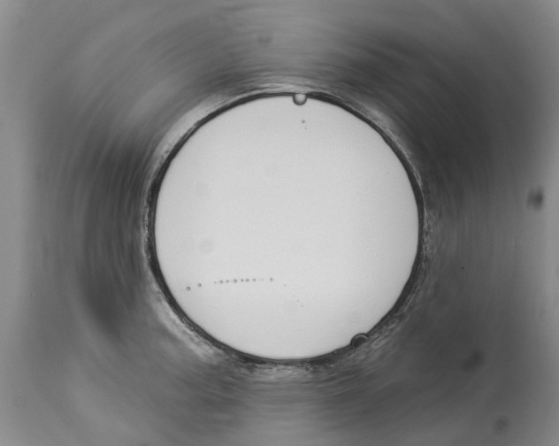 X0000114181187200911051543