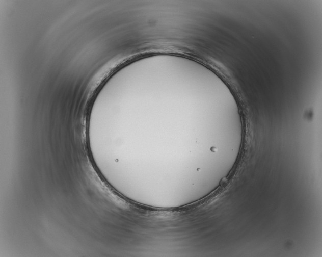 X0000114181188200911051543