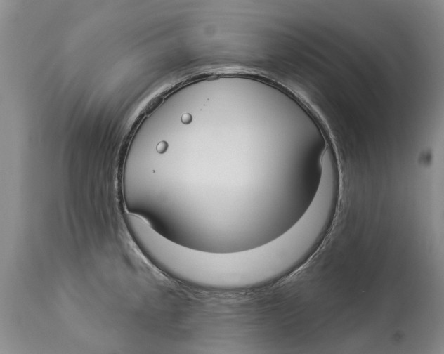 X0000114181189200911051543