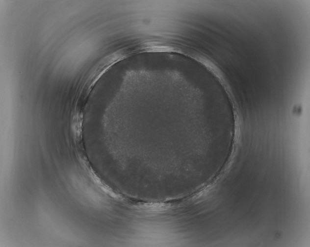 X0000114181193200911051543