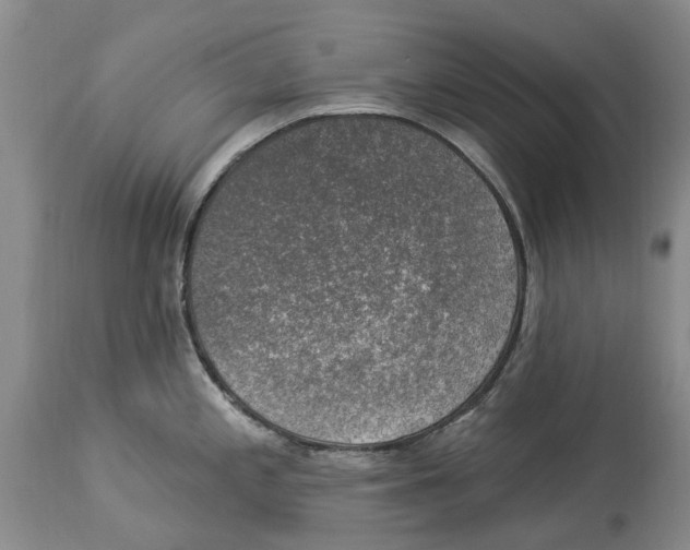 X0000114181197200911051543