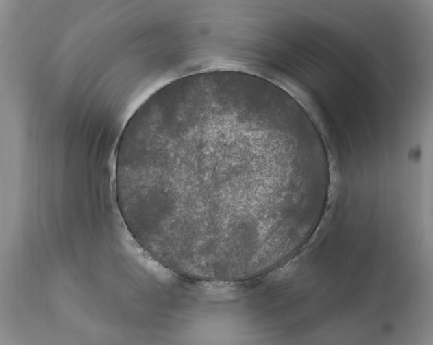 X0000114181198200911051543