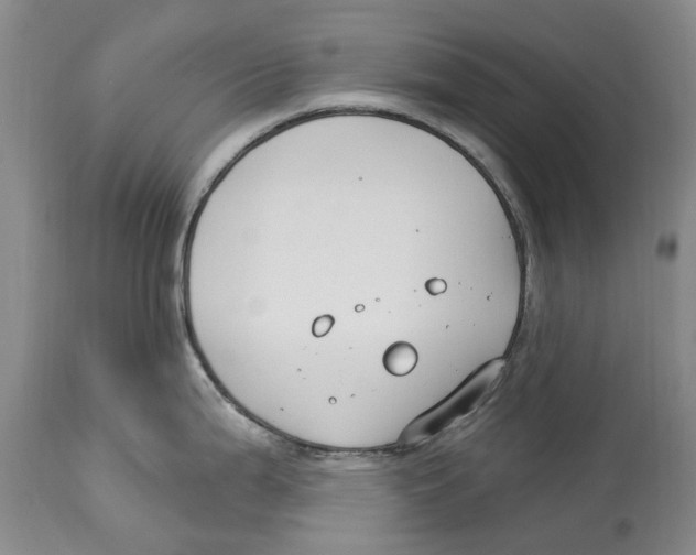 X0000114181199200911051543