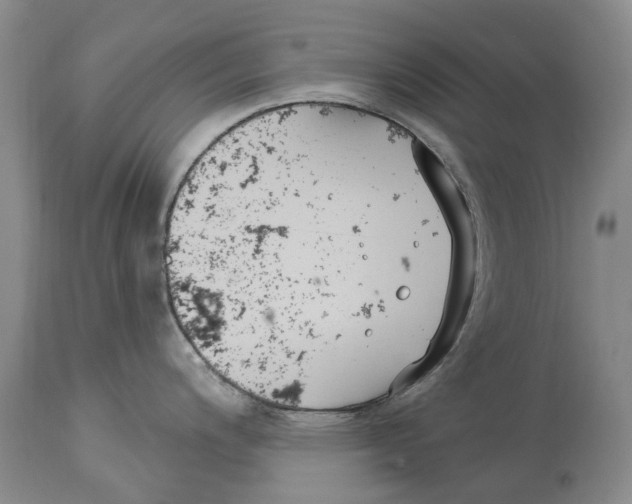 X0000114181200200911051543