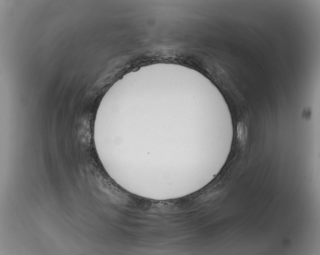 X0000114181203200911051542