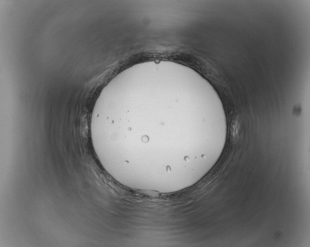 X0000114181204200911051542