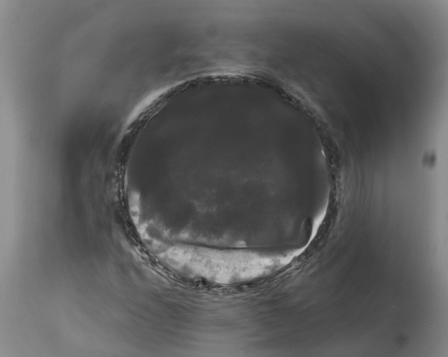 X0000114181208200911051543