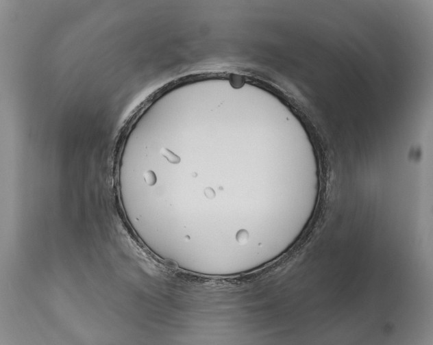 X0000114181216200911051543