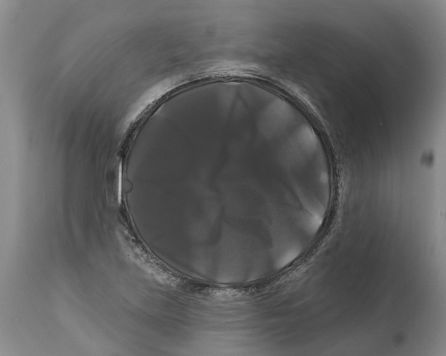 X0000114181219200911051543