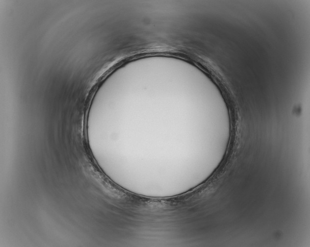 X0000114181220200911051543