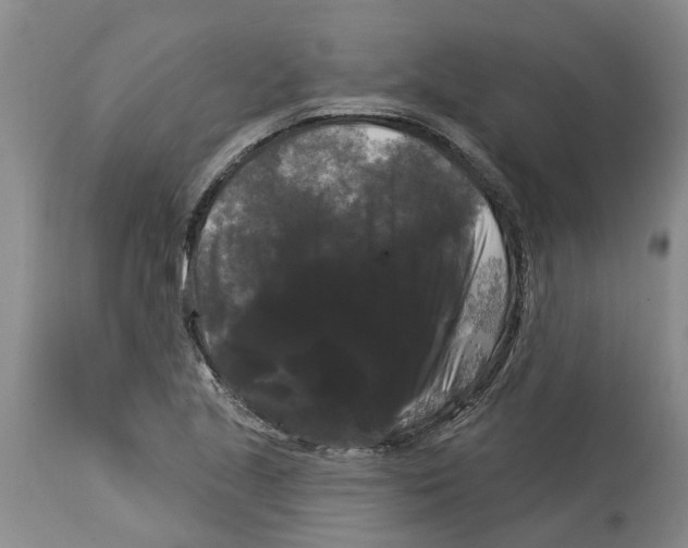 X0000114181221200911051543