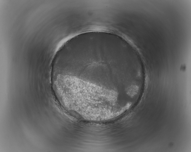 X0000114181222200911051543