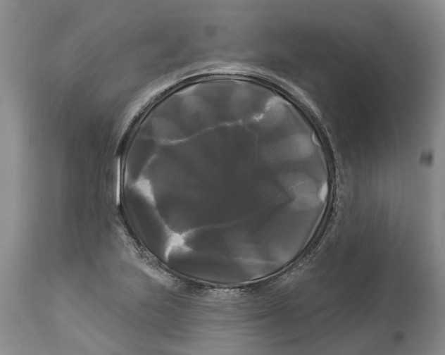 X0000114181223200911051543