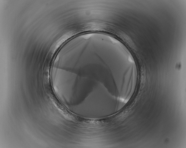 X0000114181226200911051543