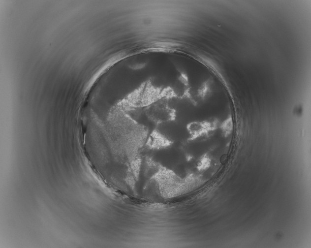 X0000114181235200911051543