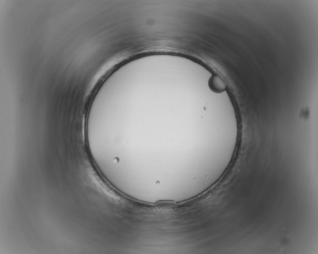 X0000114181238200911051543