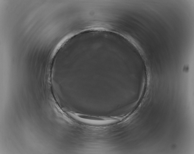 X0000114181240200911051543