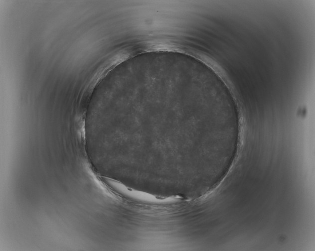 X0000114181241200911051543