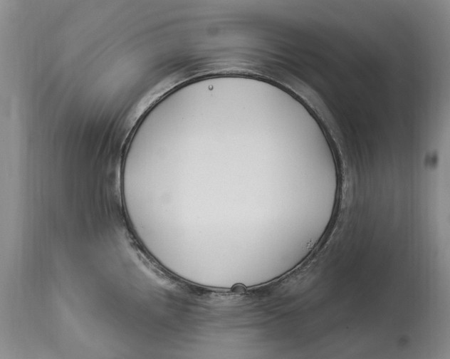 X0000114181242200911051543