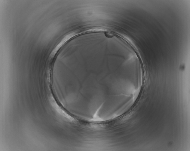 X0000114181243200911051543