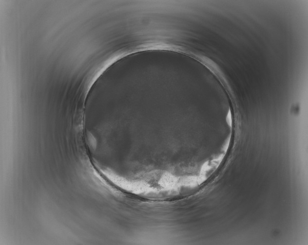 X0000114181244200911051543