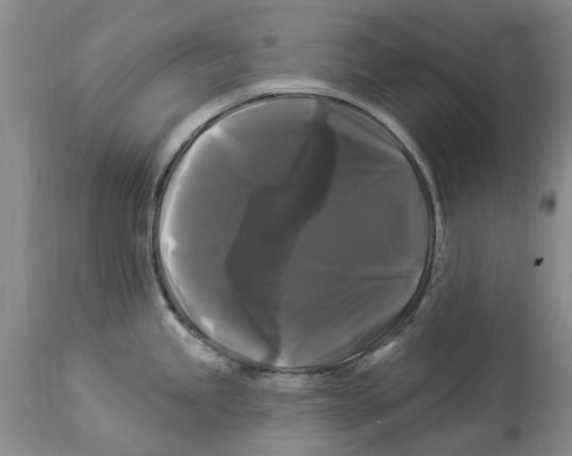 X0000114181245200911051543