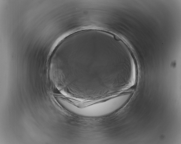 X0000114181246200911051543