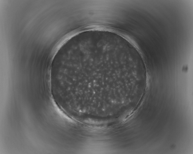 X0000114181247200911051543