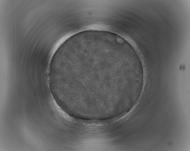 X0000114181248200911051543