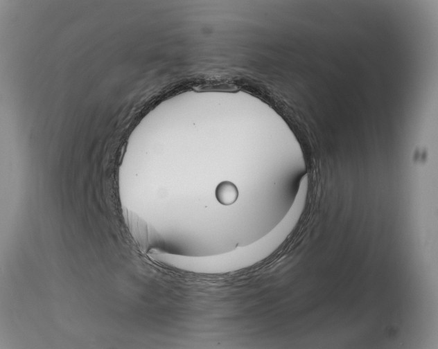 X0000114181249200911051542