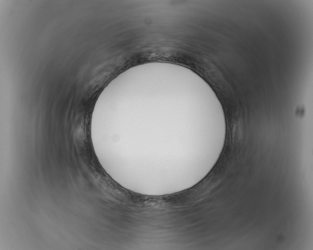 X0000114181250200911051542