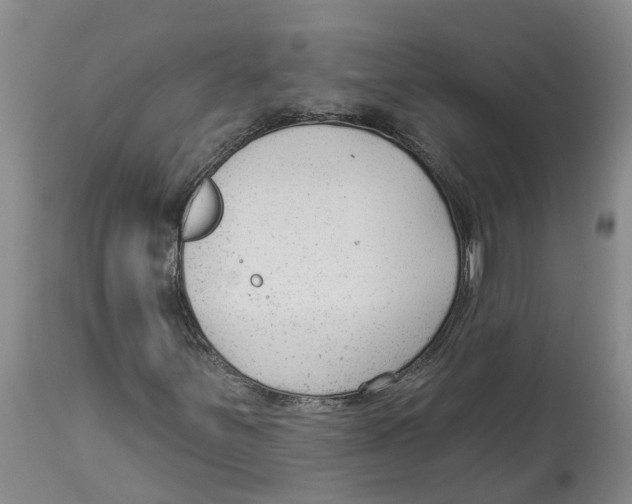 X0000114181251200911051542