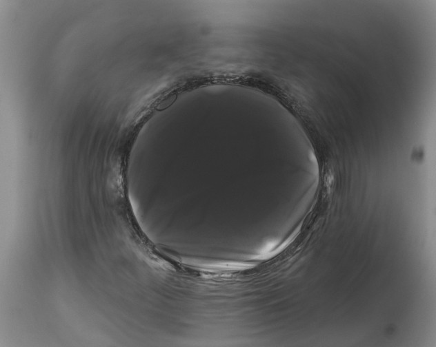 X0000114181252200911051542