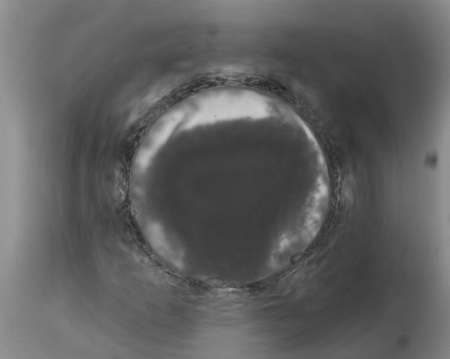 X0000114181253200911051542