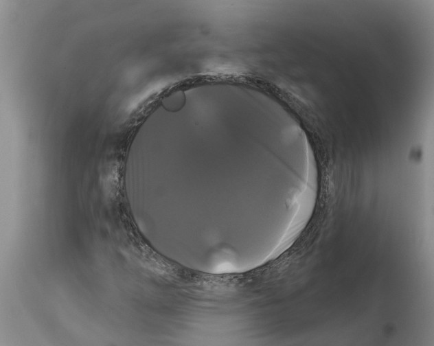 X0000114181254200911051542