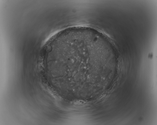 X0000114181255200911051542