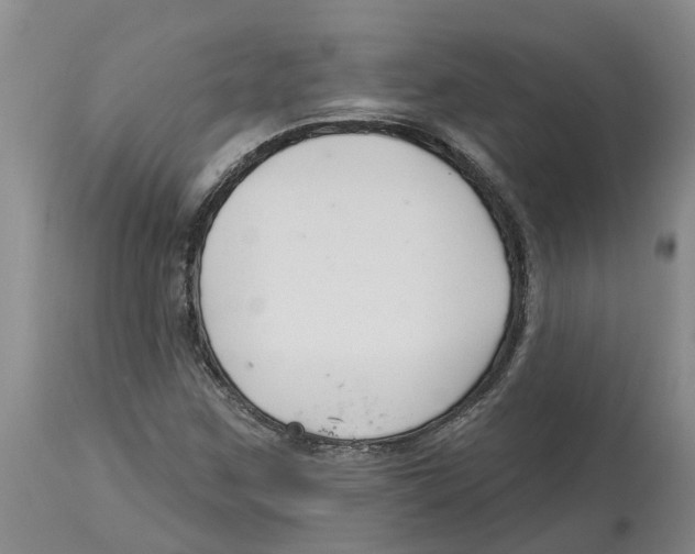 X0000114181259200911051542