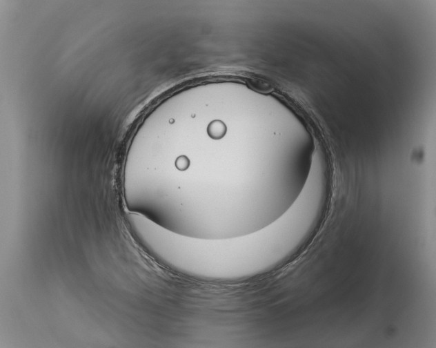 X0000114181260200911051542