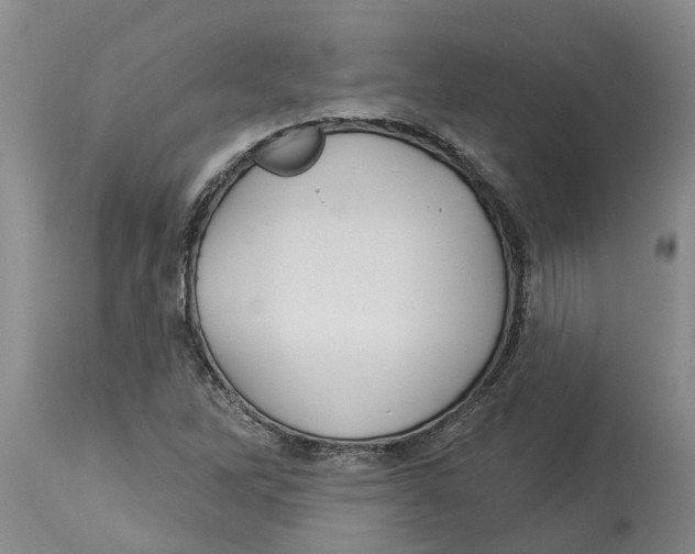 X0000114181262200911051542