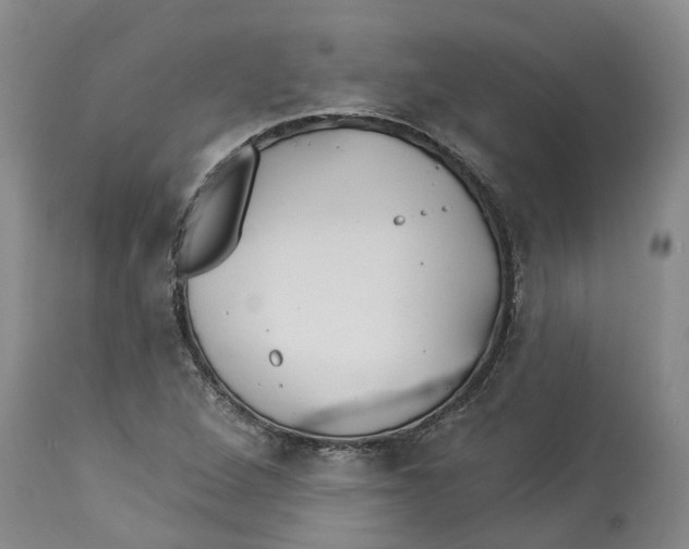 X0000114181264200911051542