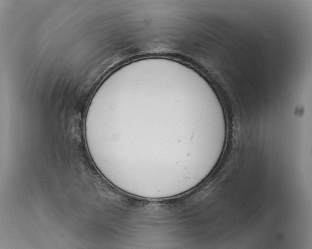 X0000114181265200911051542