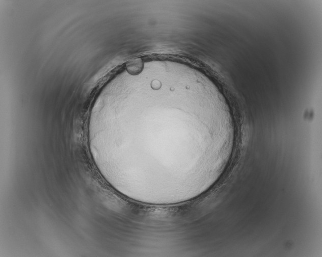 X0000114181266200911051542