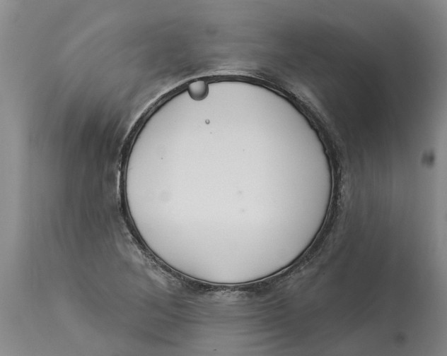 X0000114181268200911051542