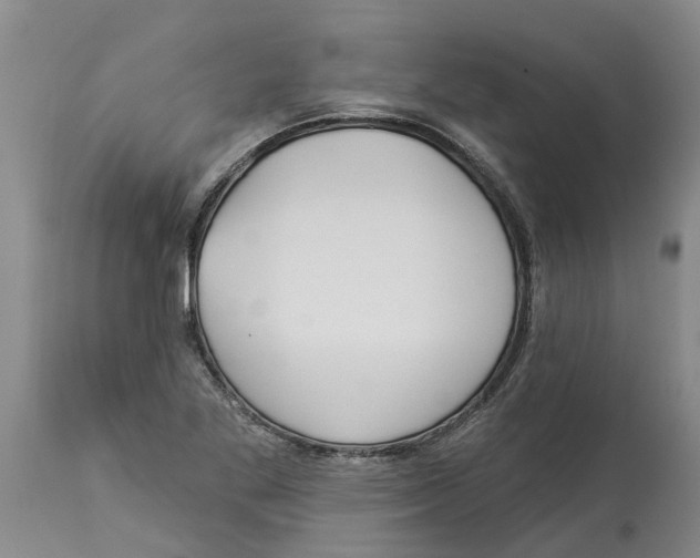 X0000114181269200911051542