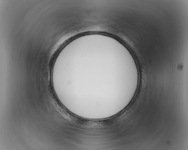 X0000114181270200911051542