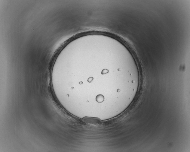 X0000114181271200911051542